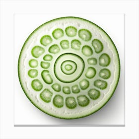 Cucumber Canvas Print