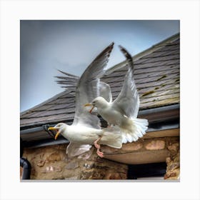 Seagulls Flying Canvas Print