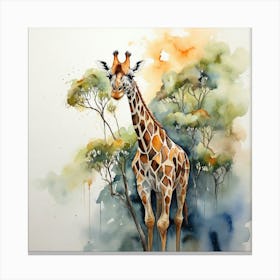 Giraffe Canvas Print