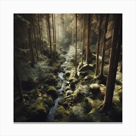 Stream In The Forest 1 Canvas Print