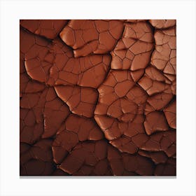 Cracked Surface Canvas Print