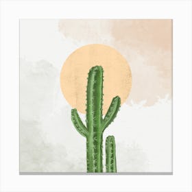 Cactus Canvas Print