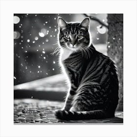 Cat In The Rain 1 Canvas Print