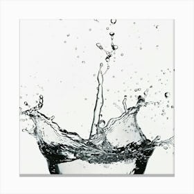 Water Splash Canvas Print