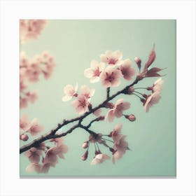 Cherry Blossoms 1 Canvas Print