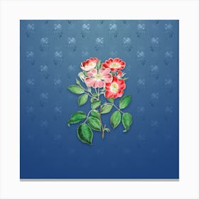 Vintage Rose Clare Flower Botanical on Bahama Blue Pattern Canvas Print