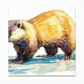 Ferret 1 Canvas Print