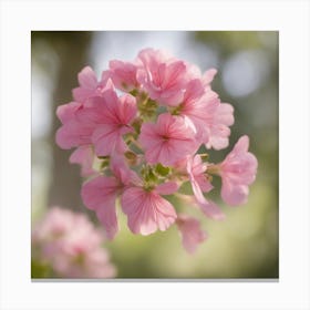 A Blooming Geranium Blossom Tree With Petals Gently Falling In The Breeze 2 Canvas Print
