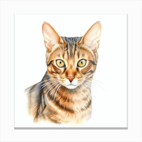 Toyger Cat Portrait Canvas Print