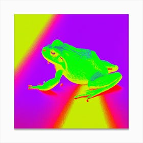 Frogescape Canvas Print