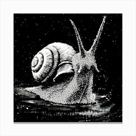 Snail At Night Canvas Print