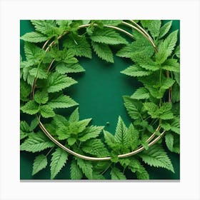 Wreath Of Mint Leaves Canvas Print