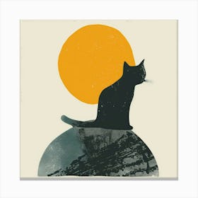 Cat In The Sun 2 Canvas Print