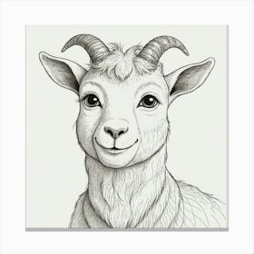 Goat Drawing 10 Canvas Print