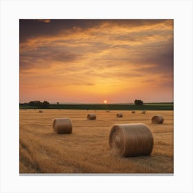 Sunset In The Field Canvas Print