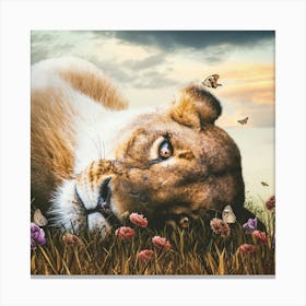 Lioness in the field Canvas Print