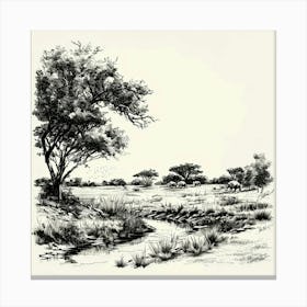 Landscape Drawing Canvas Print