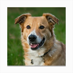 Dog In The Grass 1 Canvas Print