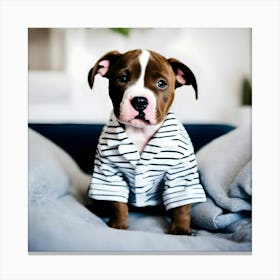 A Cute Pitbull Puppy In Pajamas Canvas Print