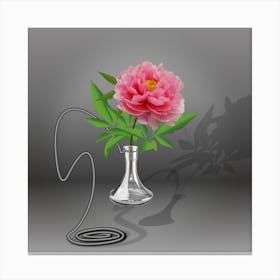 Pink Peony Flower In A Glass Flask On A Gray Background Canvas Print