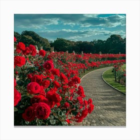 Red Roses Canvas Print