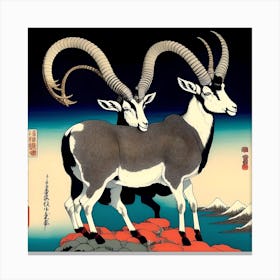 Two Antelopes Canvas Print