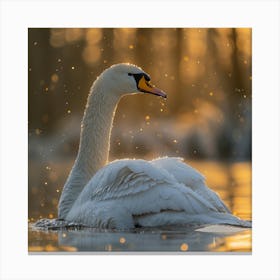 Swan At Sunset 2 Canvas Print
