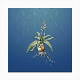 Vintage Lachenalia Lanceaefolia Botanical on Bahama Blue Pattern n.0887 Canvas Print