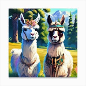 Two Llamas Canvas Print