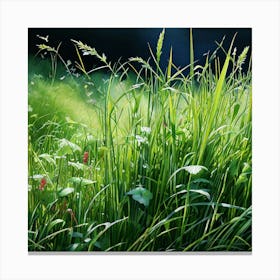 Grass Watercolor Trending On Artstation Sharp Focus Studio Photo Intricate Details Highly Deta(1) Canvas Print