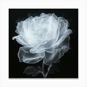 Translucent Rose Canvas Print