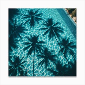 Shadows Of Palm Trees Canvas Print