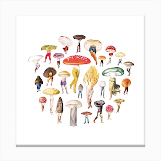 Mushroom Patch Canvas Print