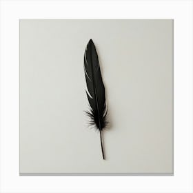 Black Feather 1 Canvas Print