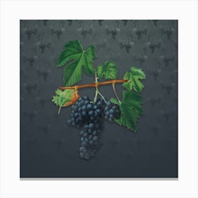 Vintage Lacrima Grapes Botanical on Slate Gray Pattern n.2297 Canvas Print