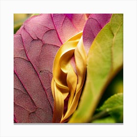 Close Up Of A Flower 1 Canvas Print