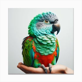 Parrot 2 Canvas Print