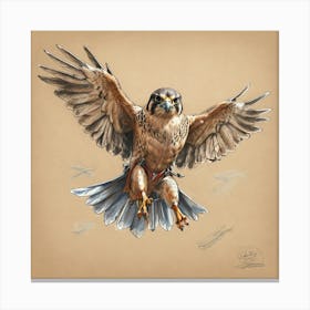 Falcon In Flight 1 Canvas Print