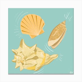 Seashells By The Seashore Square Canvas Print