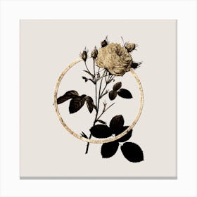 Gold Ring White Provence Rose Glitter Botanical Illustration Canvas Print