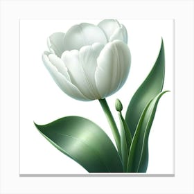 White Tulip Canvas Print