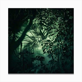 Firefly Moody Floral Shadows Dark, Atmospheric Floral Scenes With Deep Shadows Canvas Print