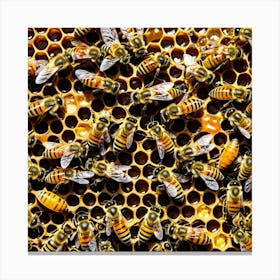 Bees Insects Pollinators Honey Hive Queen Worker Drone Nectar Pollen Colony Honeycomb St Canvas Print
