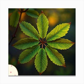 Rowan leaf Canvas Print