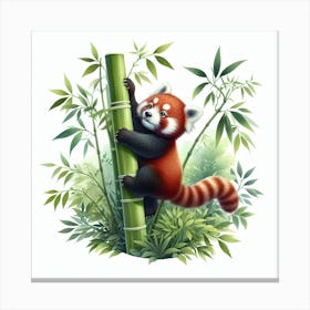 Red Panda Canvas Print