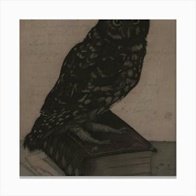 Owl On Book Canvas Print