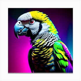 Colorful Parrot Canvas Print