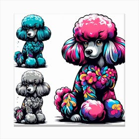 English groomed Poodle Canvas Print
