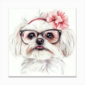 Shih Tzu 17 Canvas Print