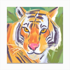 Indochinese Tiger 01 Canvas Print